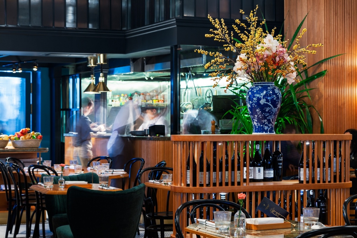 Сойка Сойка