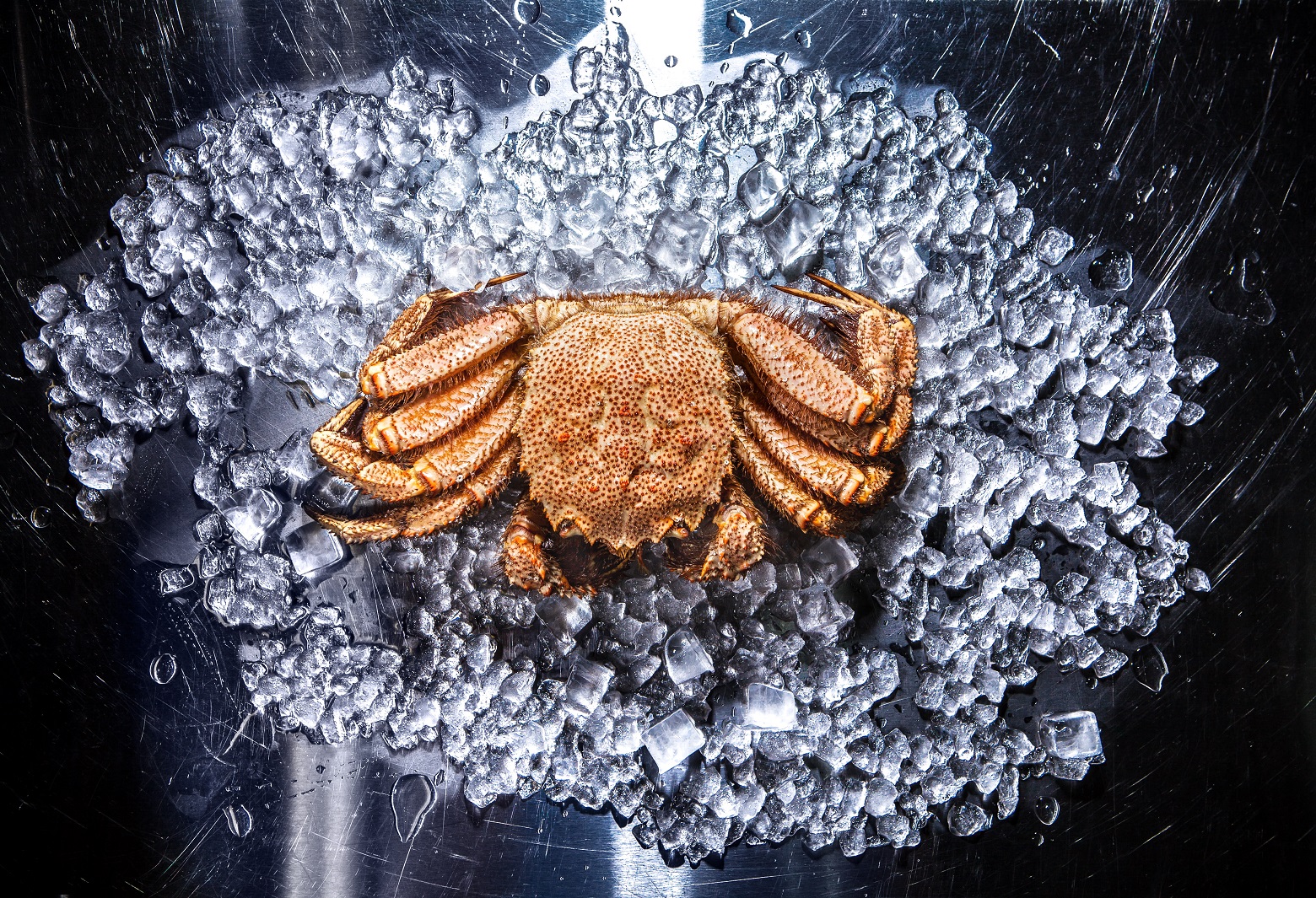 Wine & Crab Wine & Crab