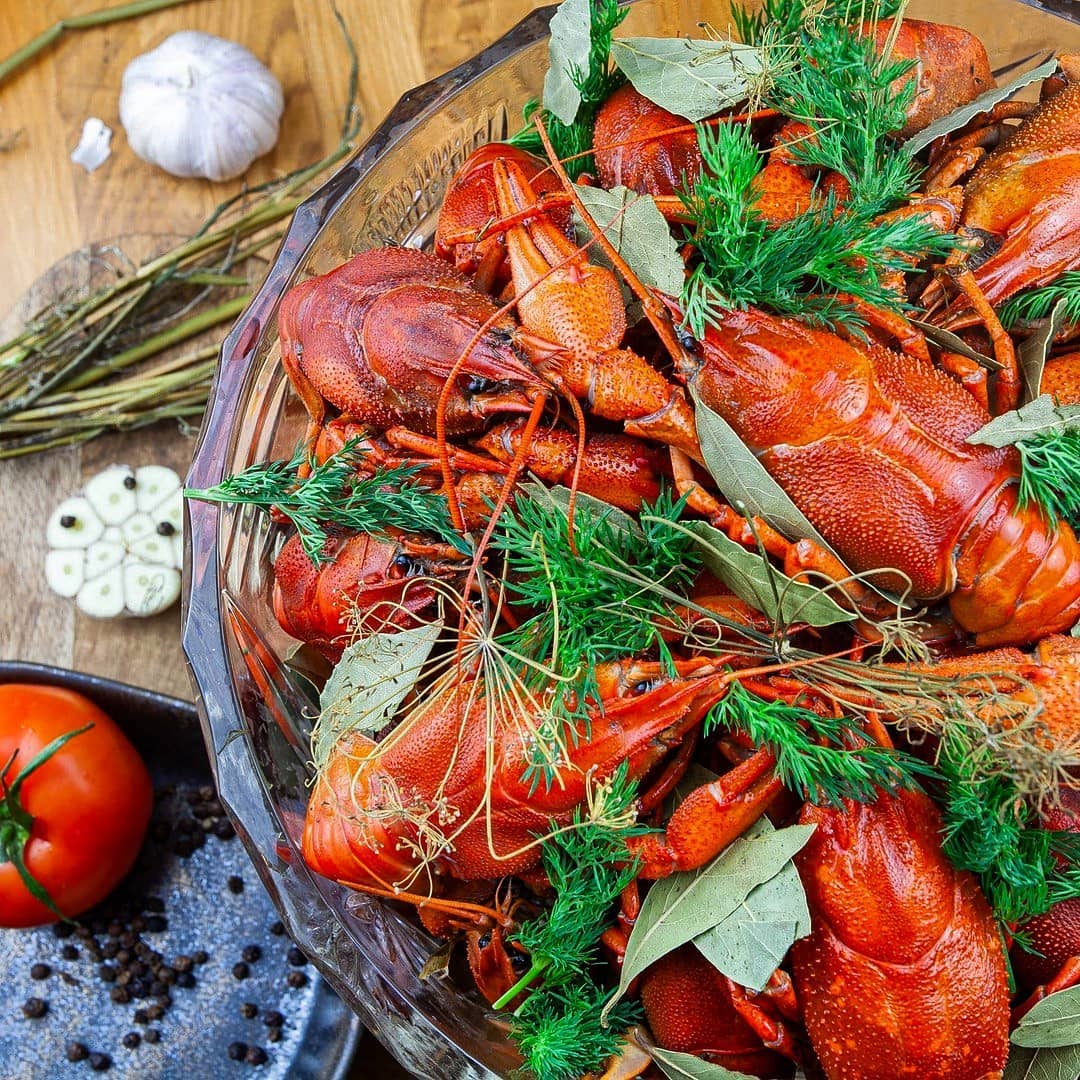 Раки и Гады Раки и Гады