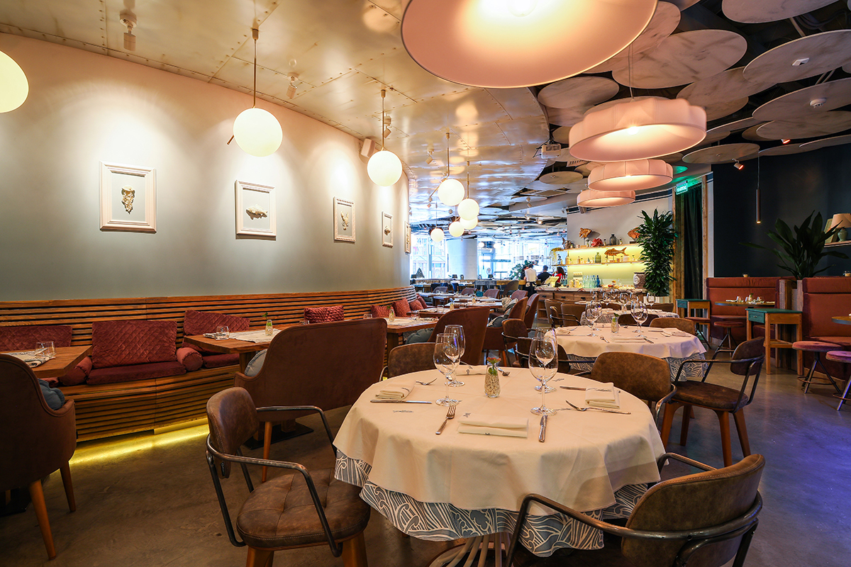 Рыба моя Рыба моя