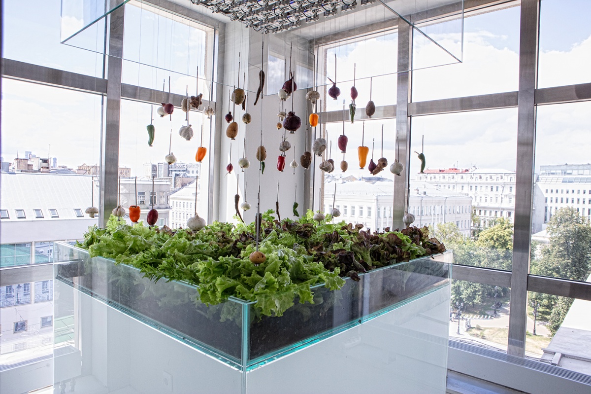 Twins Garden Twins Garden