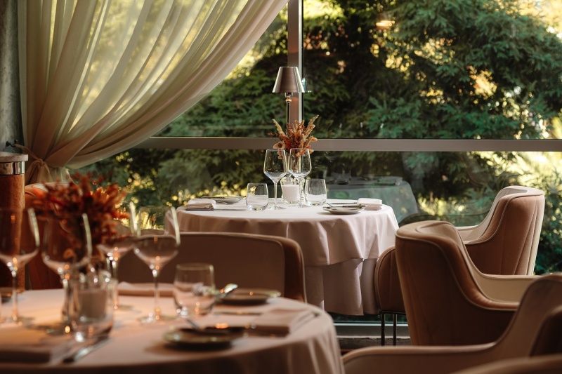 Плакучая ива Плакучая ива