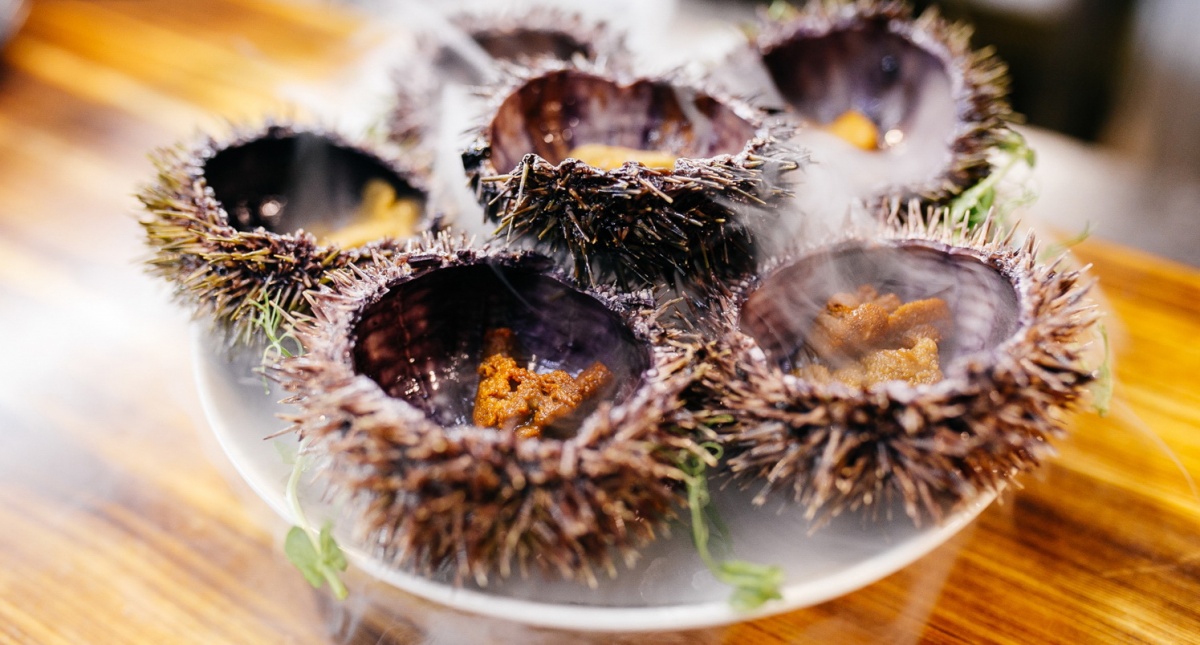 Brut Is Good Brut Is Good