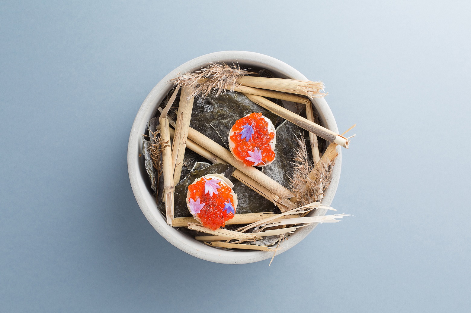 Bourgeois Bohemians Bourgeois Bohemians