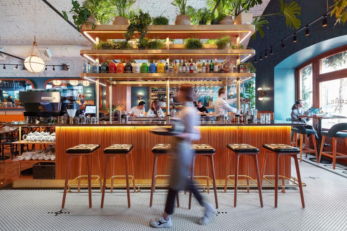 Сойка Сойка