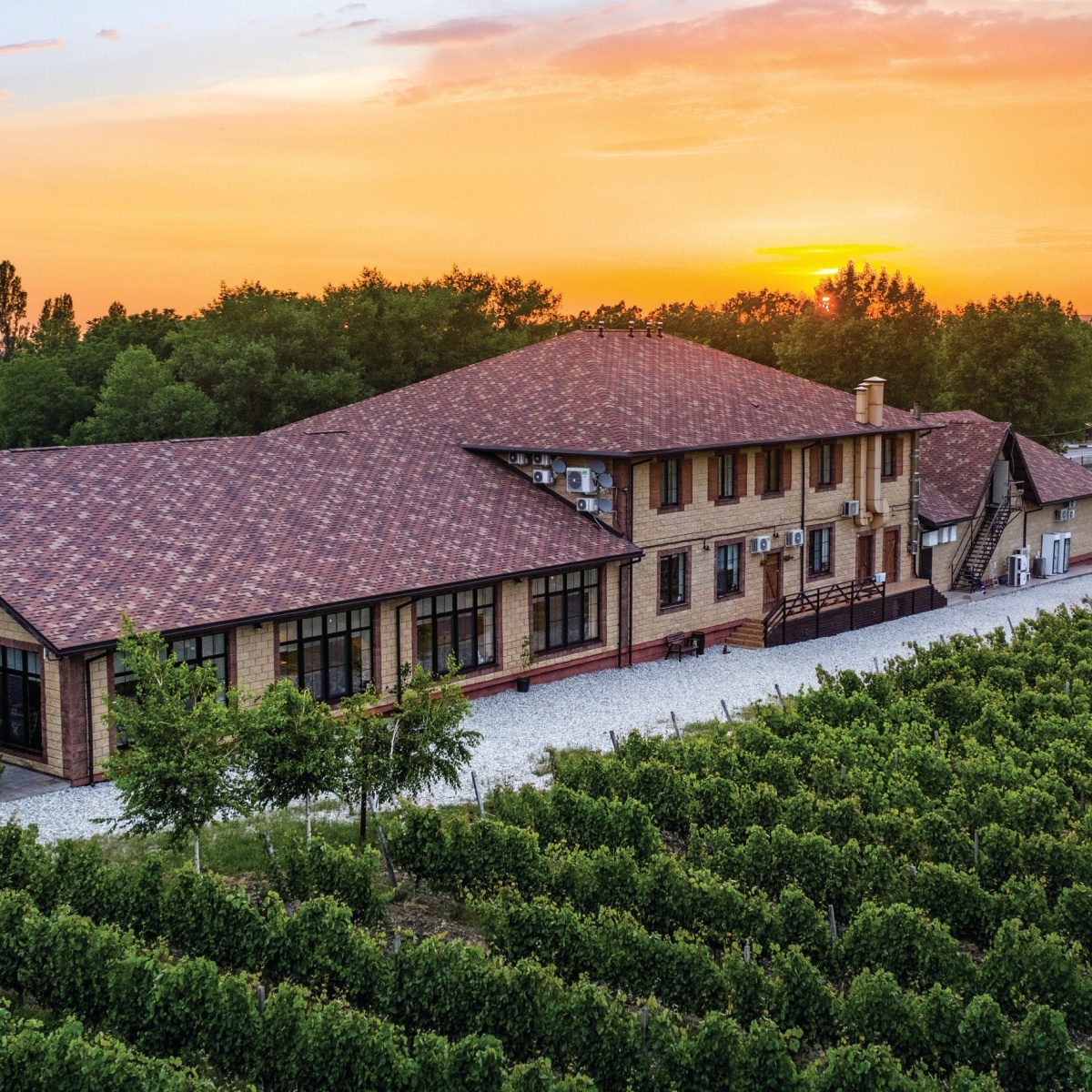 Винотеррия Винотеррия