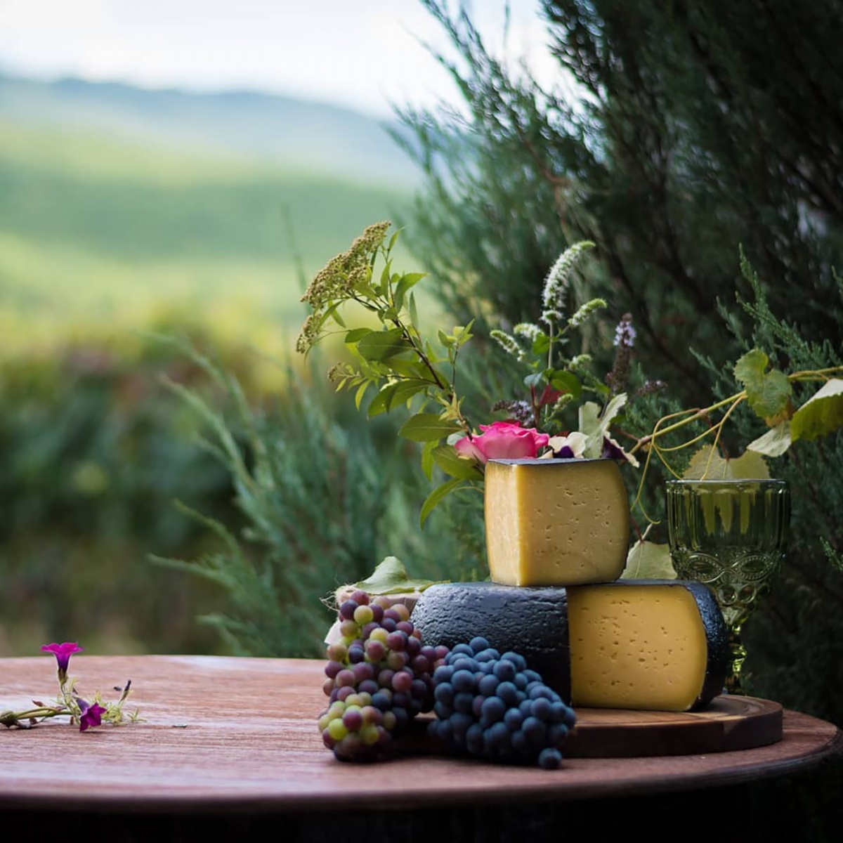 Винотеррия Винотеррия