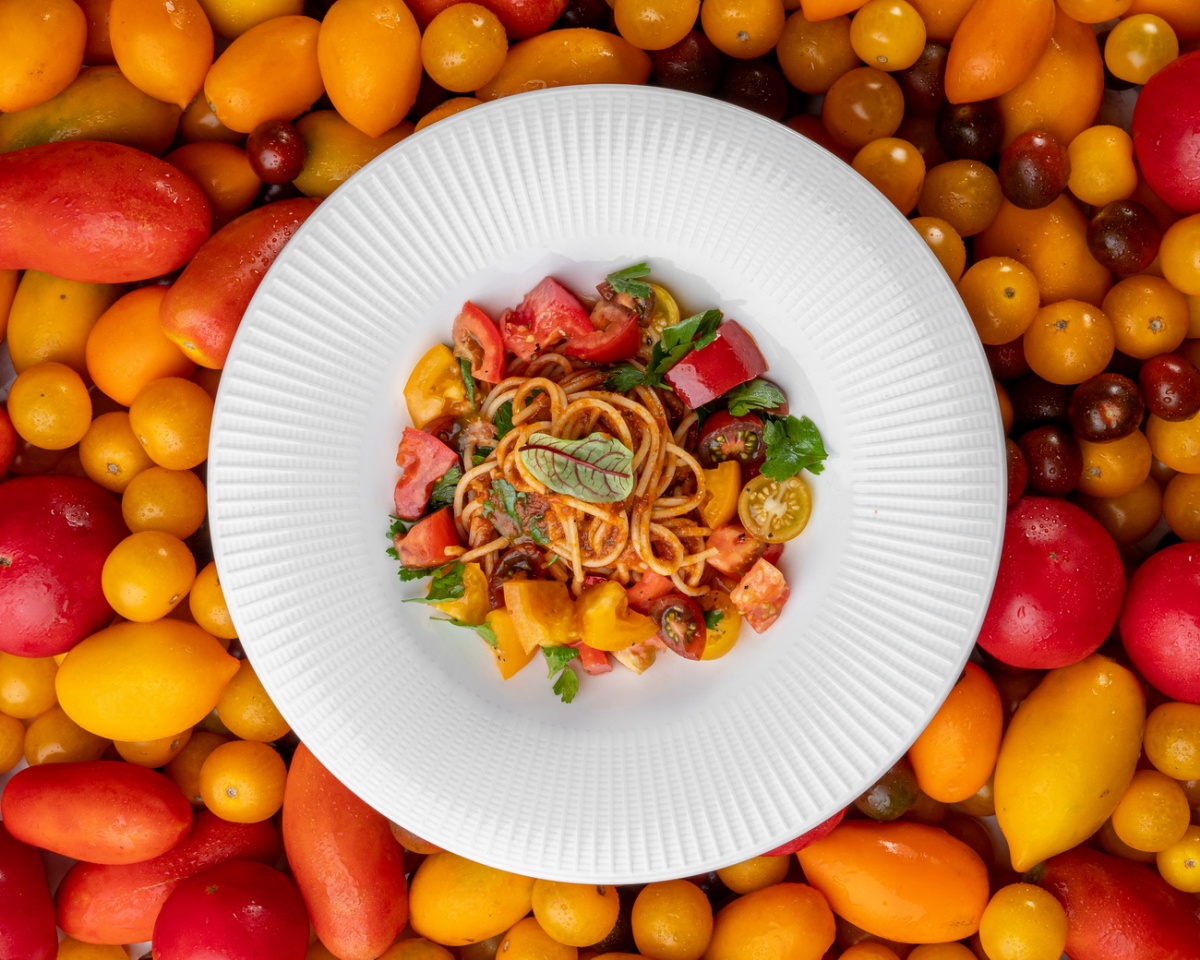 Barceloneta Barceloneta