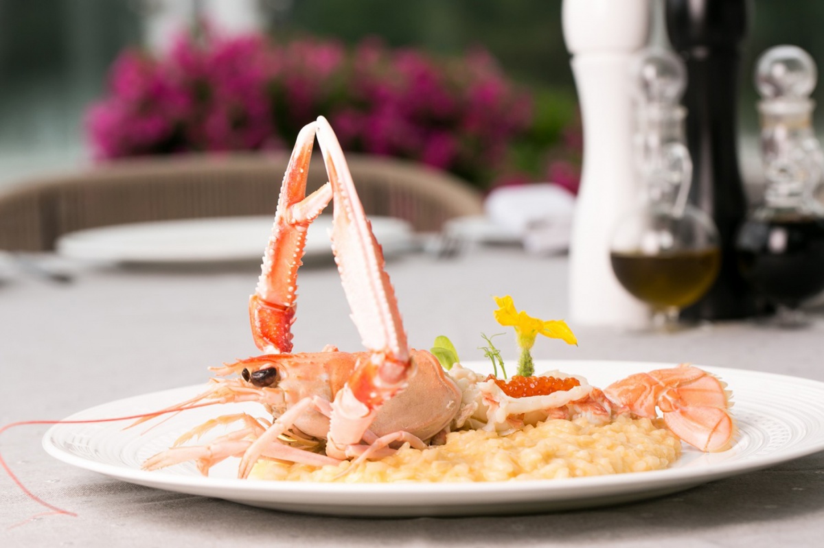 Il Lago dei Cigni Il Lago dei Cigni