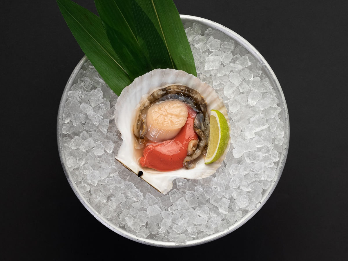 Tokyo More Tokyo More