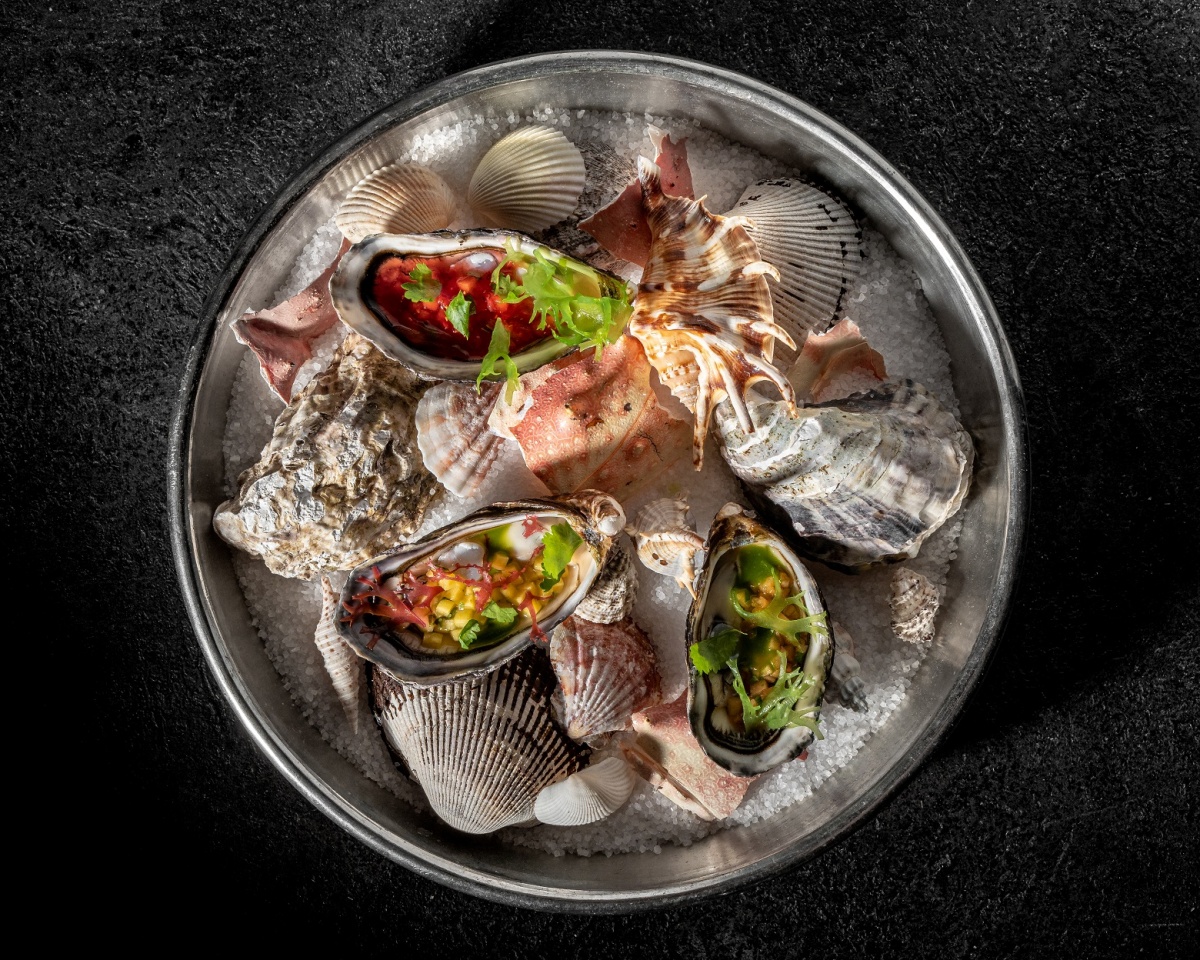 Брунелло Брунелло