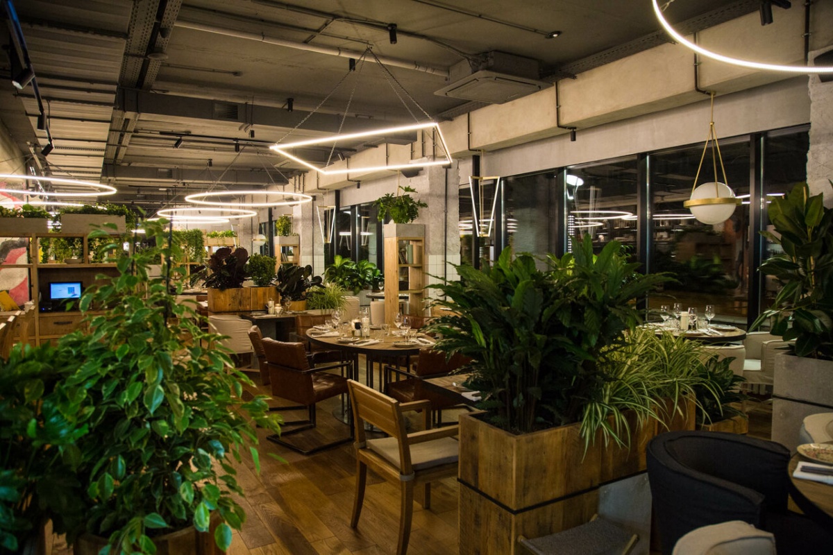 Сыроварня Сыроварня