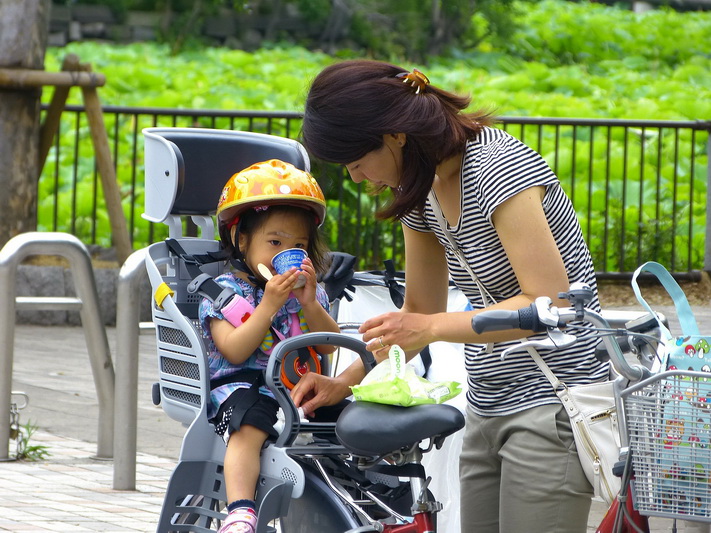 japan-230881_1920.jpg