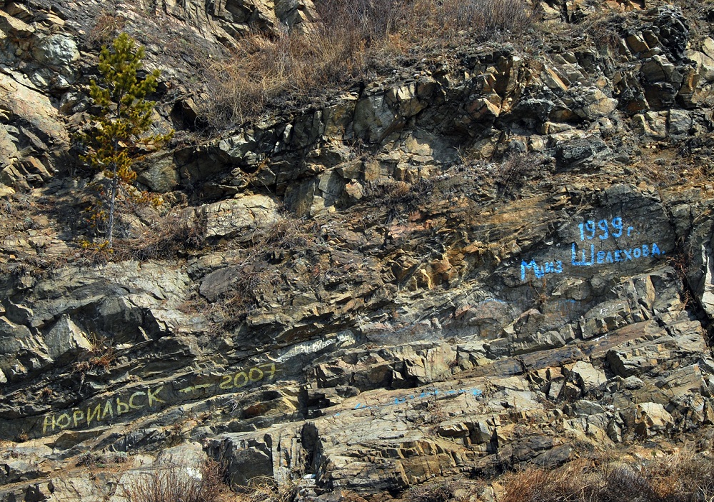 DSC_0340.JPG